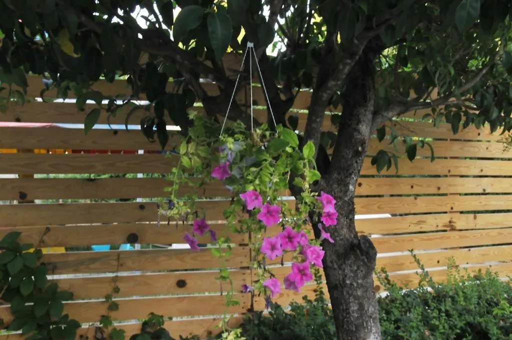 Garden Hotel Gjirokastër 알바니아